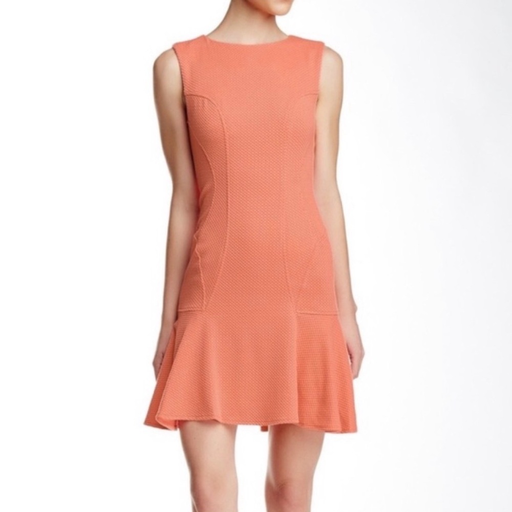 NWT Betsey Johnson Dress Size 14 Tangerine
Sleeveless Midi Stretch Fitted